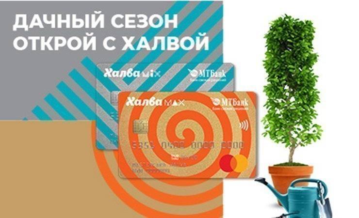 За город во всеоружии! Выгодные условия к началу дачного сезона от Халвы и партнеров - gomel.today