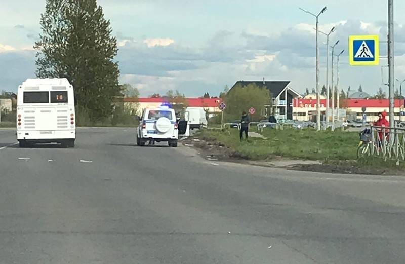 "Куда так торопился?" Лихач на внедорожнике сбил переходивших дорогу утят (видео) - tvc.ru - Великий Новгород