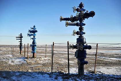 Доходы «Газпрома» от продажи газа за рубеж обвалились - lenta.ru - Турция - Германия