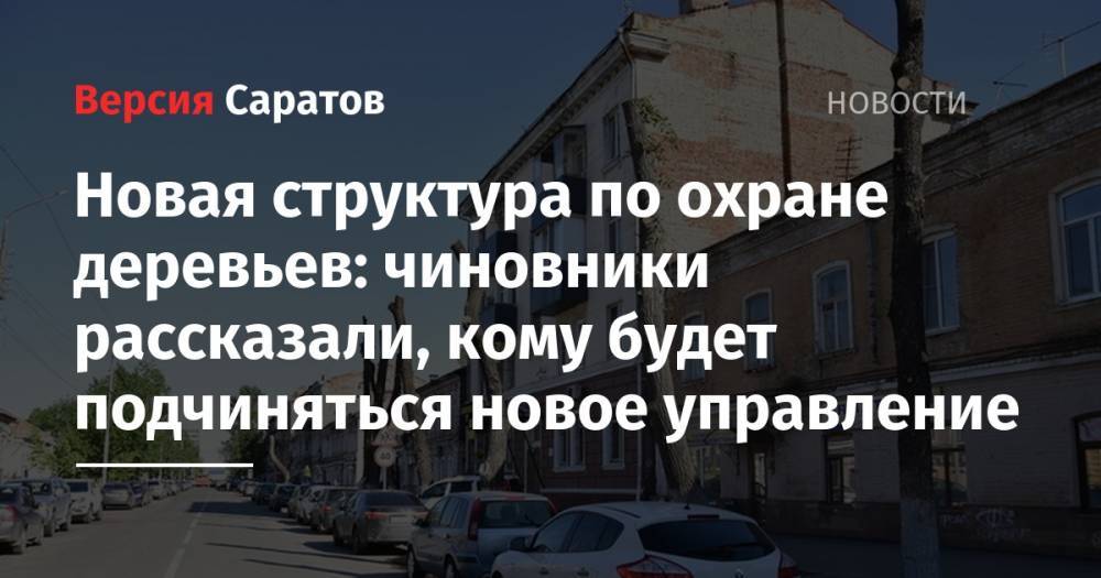 Новая структура по охране деревьев: чиновники рассказали, кому будет подчиняться новое управление - nversia.ru - Саратов