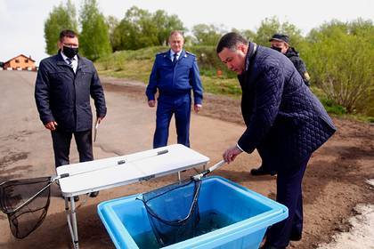 Игорь Руденя - В водоемы Тверской области выпустят миллионы рыб - lenta.ru - Тверская обл.