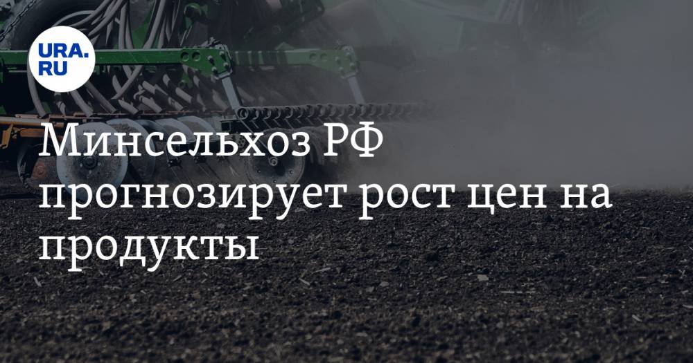 Владимир Путин - Дмитрий Патрушев - Минсельхоз РФ прогнозирует рост цен на продукты - ura.news - Россия