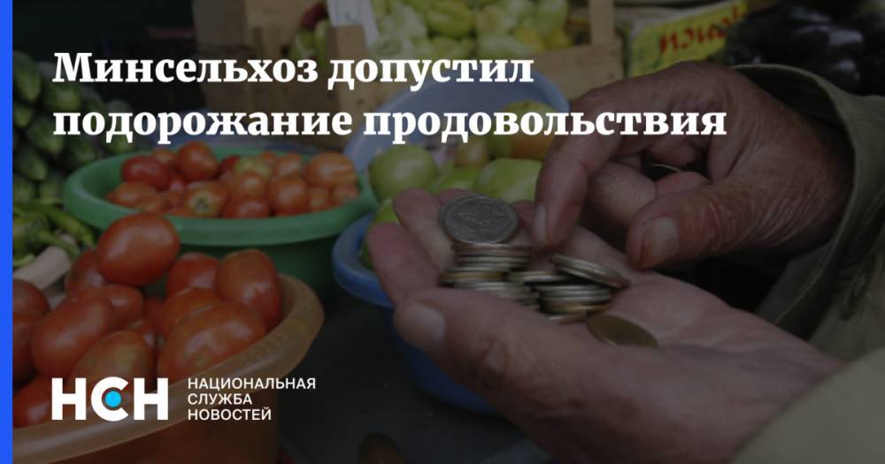Владимир Путин - Дмитрий Патрушев - Минсельхоз допустил подорожание продовольствия - nsn.fm - Россия
