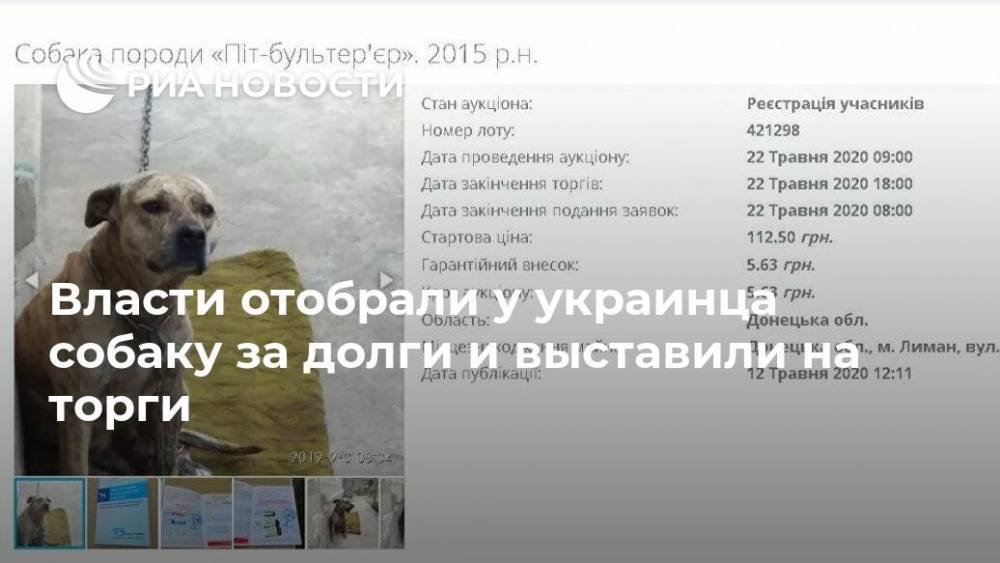 Власти отобрали у украинца собаку за долги и выставили на торги - ria.ru - Москва - Донецкая обл.