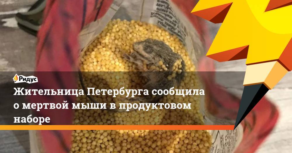 Жительница Петербурга сообщила о мертвой мыши в продуктовом наборе - ridus.ru - Санкт-Петербург