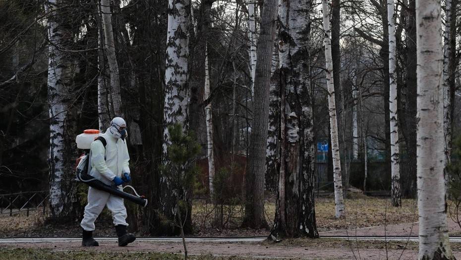 Владимир Уйба - В Республике Коми продлили ограничения до конца мая - dp.ru - респ. Коми