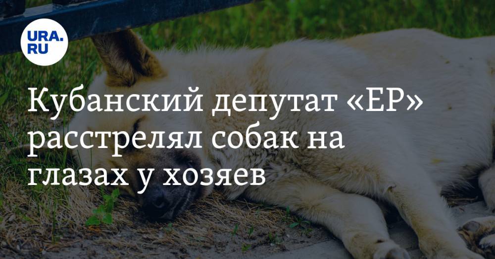Кубанский депутат «ЕР» расстрелял собак на глазах у хозяев. ВИДЕО - ura.news - Россия - Краснодарский край - Царьград - район Темрюкский
