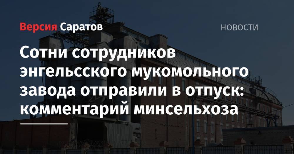 Вячеслав Володин - Сотни сотрудников энгельсского мукомольного завода отправили в отпуск: комментарий минсельхоза - nversia.ru