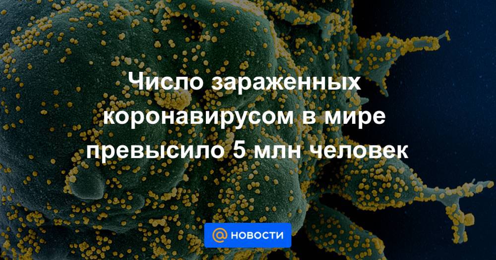 Число зараженных коронавирусом в мире превысило 5 млн человек - news.mail.ru - Россия - Китай - США - Англия - Италия - Франция - Бразилия - Испания