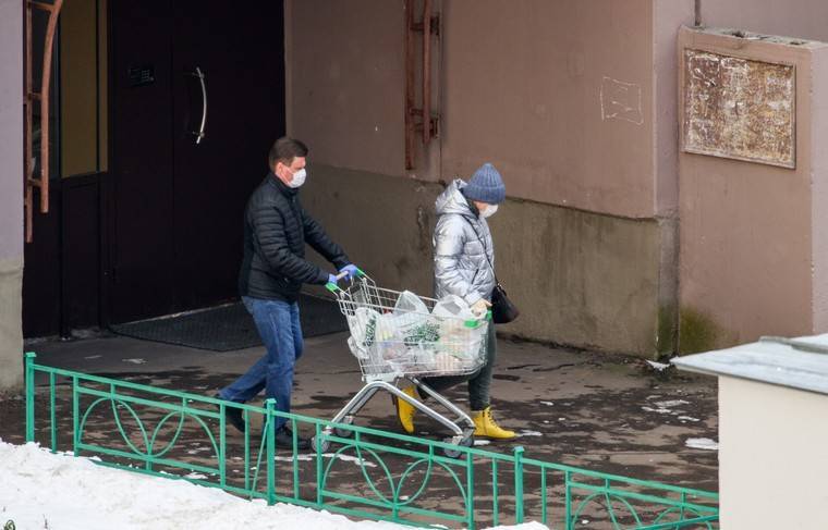 Ирина Рукавишникова - Сенаторы хотят узаконить понятие самоизоляции - news.ru - Москва - Россия