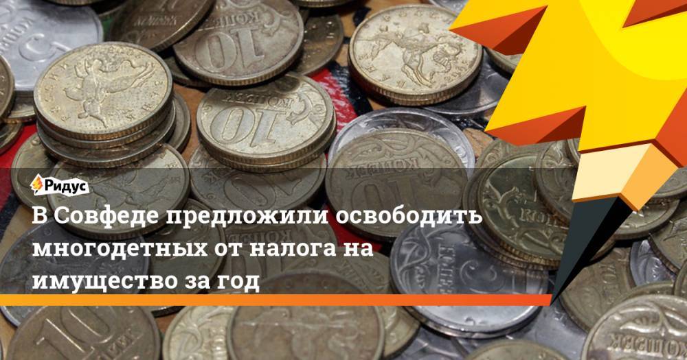 Ирина Рукавишникова - В Совфеде предложили освободить многодетных от налога на имущество за год - ridus.ru - Россия