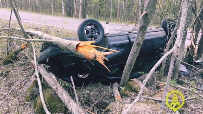 После тарана дерева "Renault" в Выборгском районе госпитализировано двое подростков - piter.tv - Ленинградская обл. - Выборг