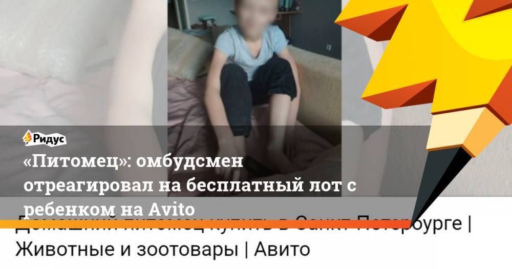 Анна Митянина - «Питомец»: омбудсмен отреагировал на бесплатный лот с ребенком наAvitо - ridus.ru - Санкт-Петербург