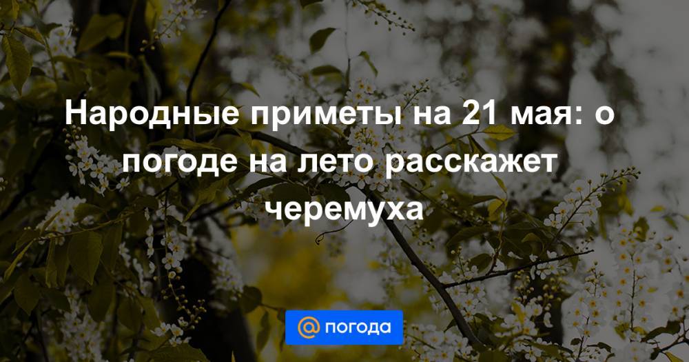 Иоанн Богослов - Екатерина Гура - Народные приметы на 21 мая: о погоде на лето расскажет черемуха - news.mail.ru