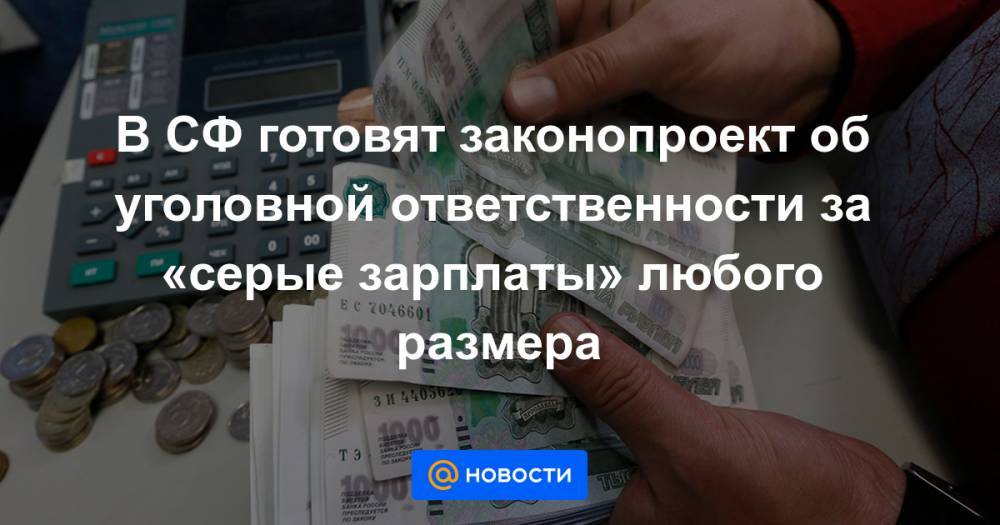 В СФ готовят законопроект об уголовной ответственности за «серые зарплаты» любого размера - news.mail.ru - Россия