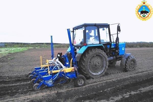В учреждениях УФСИН по Коми готовы к посадкам свеклы, моркови и картофеля - bnkomi.ru - респ. Коми - Сыктывкар