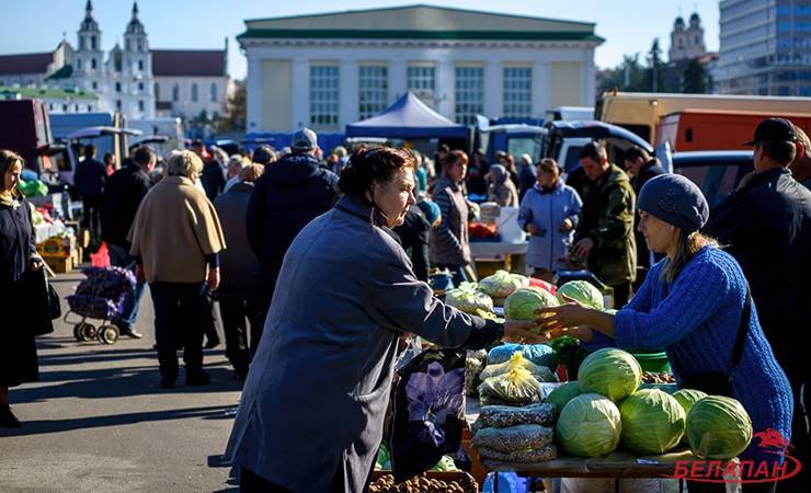 Поможет ли указ президента прожить на пенсию тем, кого оставили без куска хлеба - gomel.today