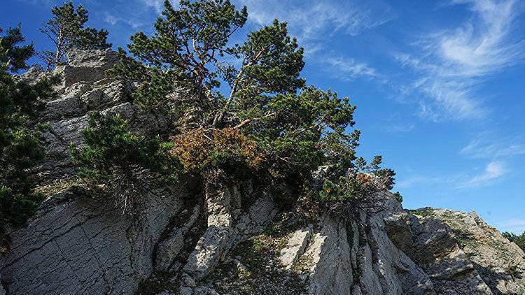 Посещение некоторых заповедников Крыма станет платным - crimea.ria.ru - Россия - Крым - Симферополь