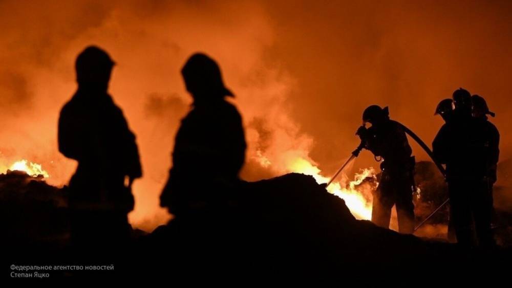 Владислава Грин - Пожар разбушевался на закрытой АЭС "Додевард" в Нидерландах - nation-news.ru - Голландия