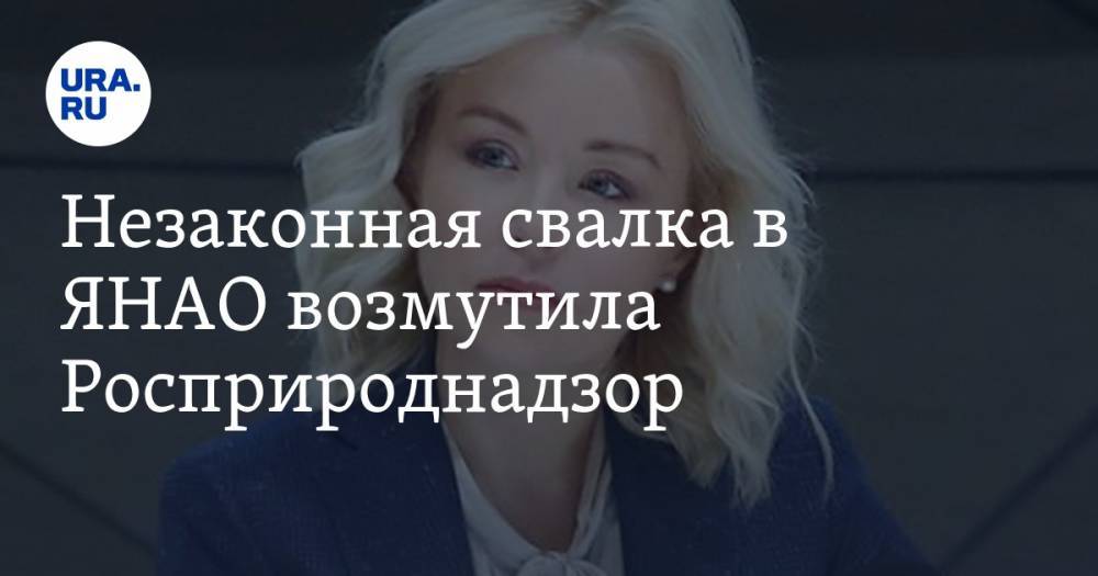 Светлана Радионова - Незаконная свалка в ЯНАО возмутила Росприроднадзор. Ответственным считают скандального бизнесмена - ura.news - окр. Янао