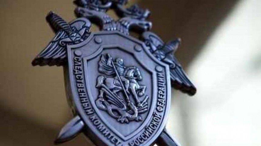 Дело в отношении заведующей детсадом в Петербурге прекращено - 5-tv.ru - Санкт-Петербург
