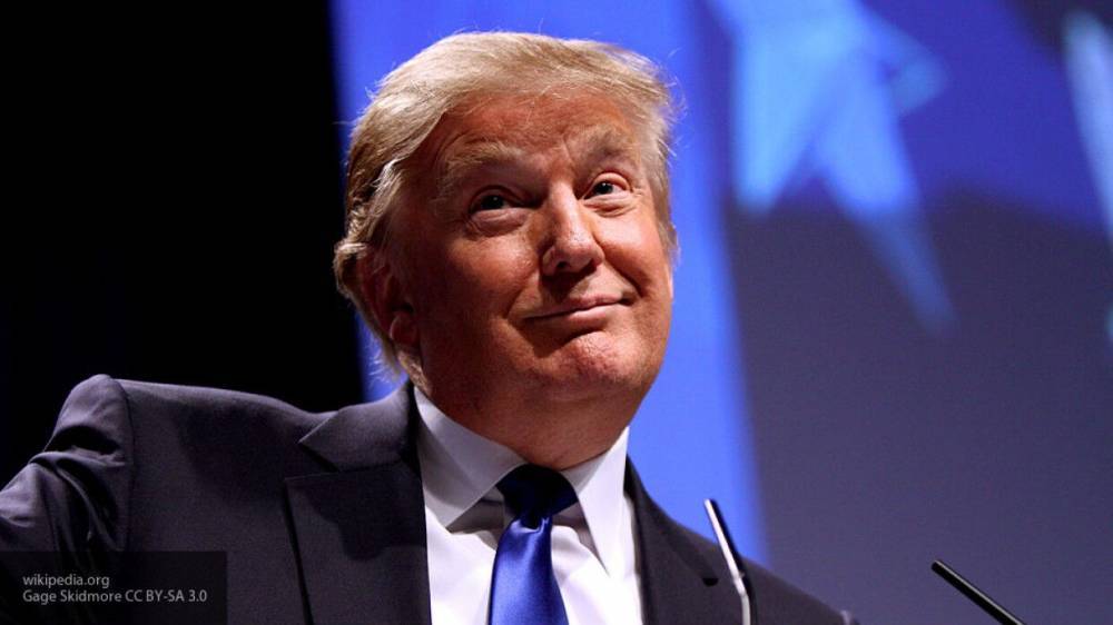 Дональд Трамп - Александр Грушко - Владислава Грин - Трамп заявил, что Россия и США смогут вернуться к Договору по открытому небу - nation-news.ru - Москва - Россия - США