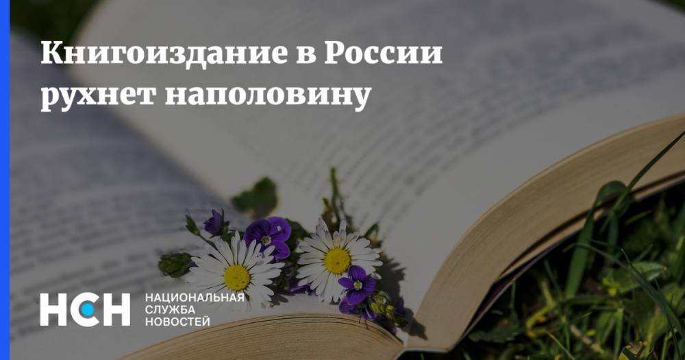 Сергей Дмитриев - Книгоиздание в России рухнет наполовину - nsn.fm - Россия