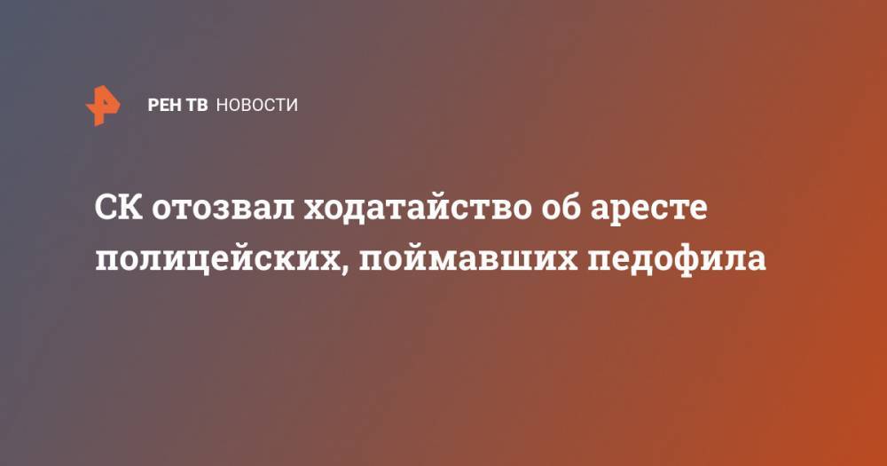Дмитрий Александров - СК отозвал ходатайство об аресте полицейских, поймавших педофила - ren.tv - Боровичи
