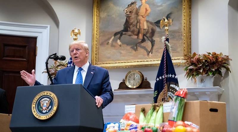 Дональд Трамп - Майк Пенс - Что произойдет, если Дональд Трамп заразится коронавирусом - usa.one