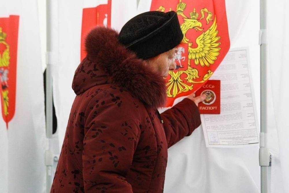 Майя Гришина - ЦИК объяснил разморозку денег на голосование по Конституции - mk.ru