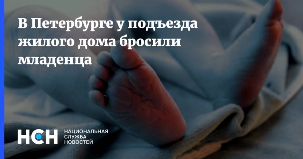 В Петербурге у подъезда жилого дома бросили младенца - nsn.fm - Санкт-Петербург