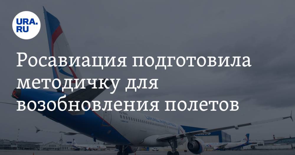 Росавиация подготовила методичку для возобновления полетов. Шахматной рассадки пассажиров не будет - ura.news