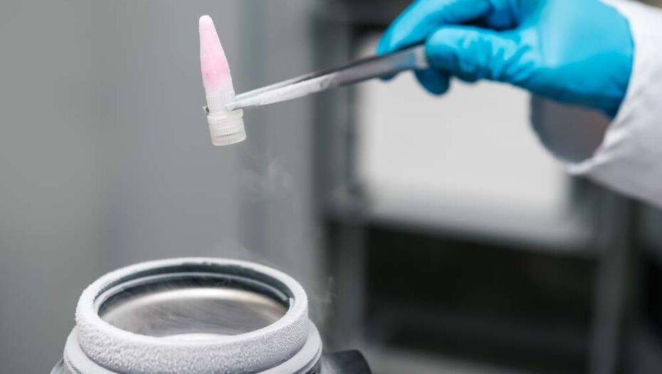 Японские врачи впервые в мире из стволовых клеток получили клетки печени и пересадили их новорождённому - informburo.kz - Япония