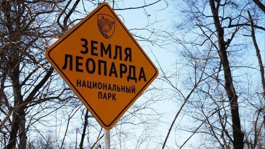 В нацпарке Приморья «Земля леопарда» задержали браконьера с винтовкой Мосина - 5-tv.ru - Приморье край - Сахалинская обл.