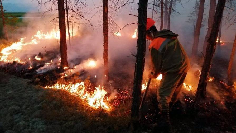 Greenpeace спрогнозировал вторую волну лесных пожаров в России - gazeta.ru - Россия - Красноярский край - Иркутская обл. - респ. Саха