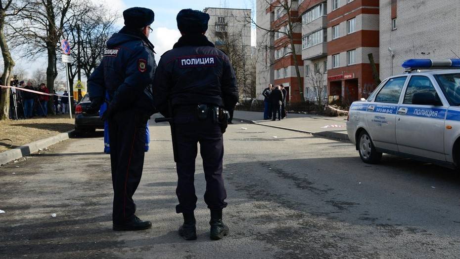 Полиция проверит обстоятельства загадочной смерти двух петербургских подростков - dp.ru - Санкт-Петербург
