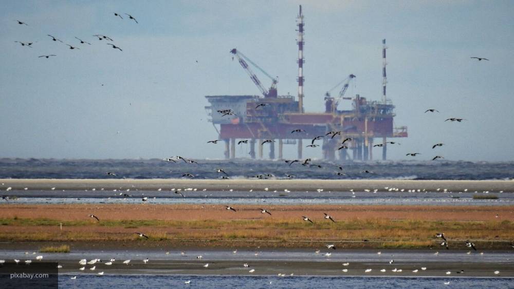 Цена на нефтяные фьючерсы снижается в ходе торгов на мировых биржах - polit.info - Китай - США