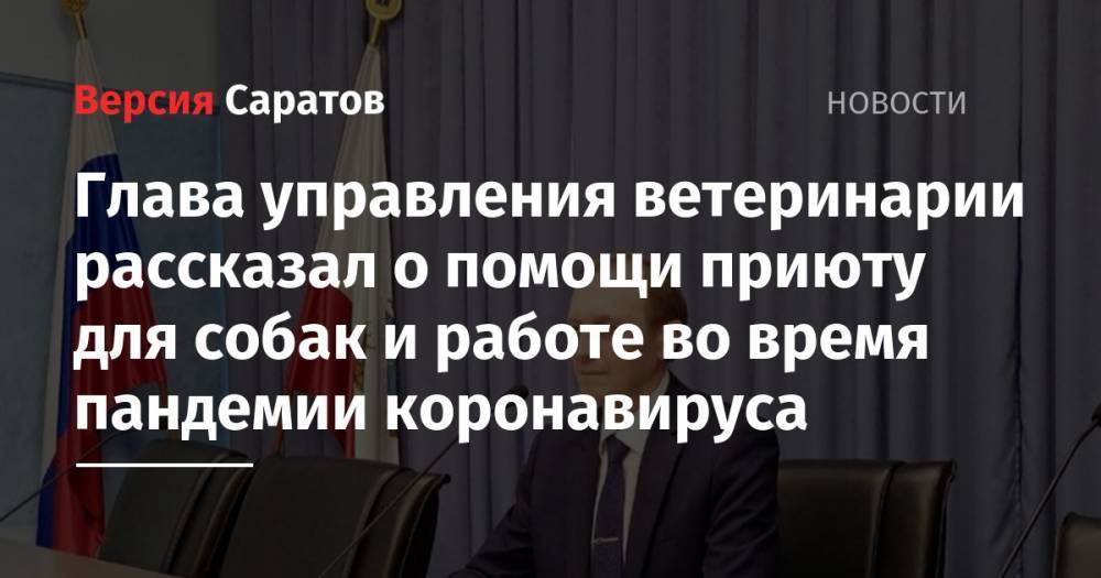 Глава управления ветеринарии рассказал о помощи приюту для собак и работе во время пандемии коронавируса - nversia.ru - Саратовская обл. - район Энгельсский - район Саратова