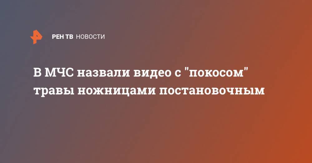 В МЧС назвали видео с "покосом" травы ножницами постановочным - ren.tv - Россия - Новосибирская обл.