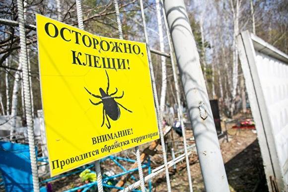 Галина Шарухо - В Тюменской области за неделю зарегистрировано около 3 тыс. случаев укусов клещей - znak.com - Тюмень - Тюменская обл.