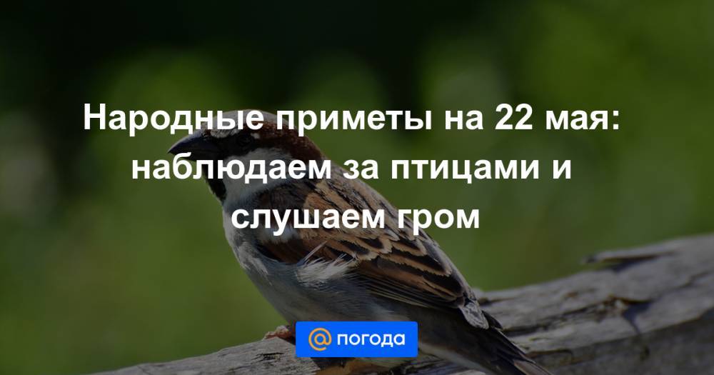 Николай Чудотворец - Екатерина Гура - Народные приметы на 22 мая: наблюдаем за птицами и слушаем гром - news.mail.ru
