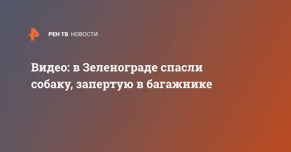 Видео: в Зеленограде спасли собаку, запертую в багажнике - ren.tv - Москва - Зеленоград - Астрахань