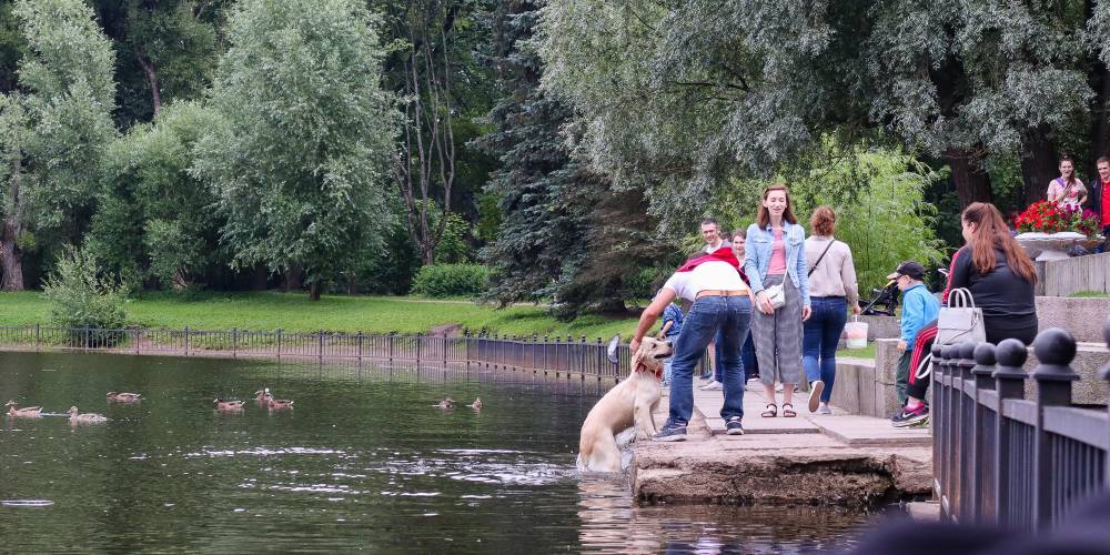 Анна Попова - Названы условия "новой нормальности" после коронавируса - ruposters.ru - Россия