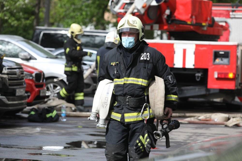 Просидевшего месяц в багажнике машины алабая спасли в Москве - vm.ru - Москва - Зеленоград