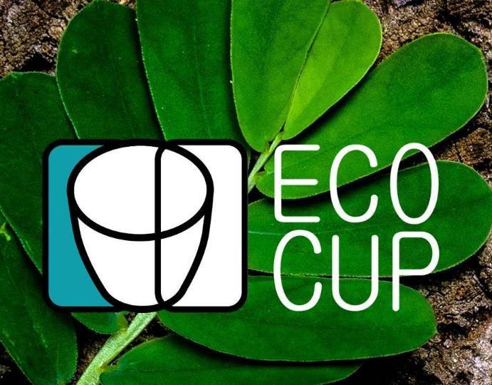 Для людей, которым не все равно: эко-кинофестиваль ECOCUP проходит в России - inforeactor.ru - Россия
