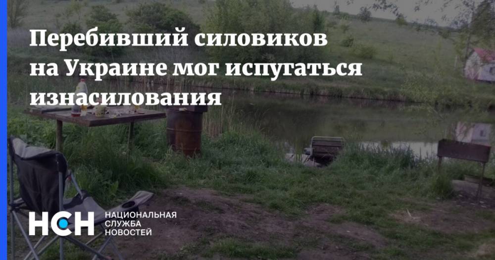 Перебивший силовиков на Украине мог испугаться изнасилования - nsn.fm - Украина - Житомирская обл.