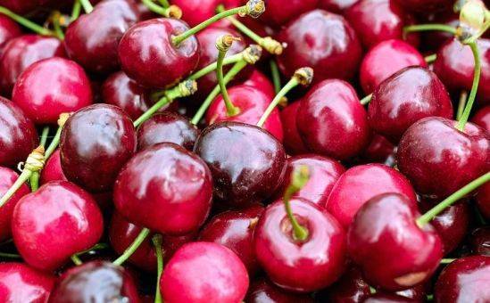 6 освежающих фруктов и ягод - vkcyprus.com - Кипр