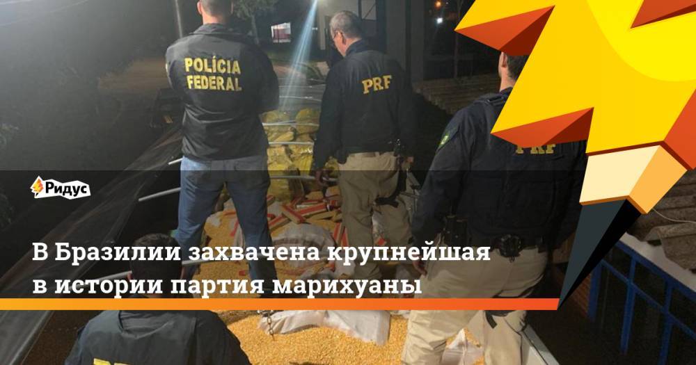 В Бразилии захвачена крупнейшая в истории партия марихуаны - ridus.ru - Бразилия - Парагвай