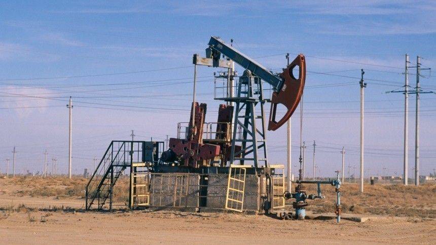 Ирина Волк - Замаскированный под свалку подпольный нефтезавод обнаружили под Саратовом - 5-tv.ru - Россия - Саратов