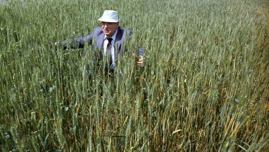 Надежда колхозника: какие плоды дала Продовольственная программа СССР - dp.ru
